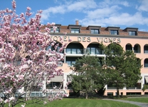 Hôtel des Vignes Hôtel des Vignes (Hôtel des Vignes)